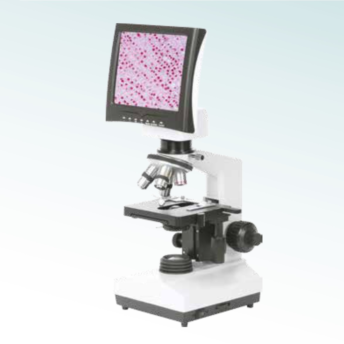 Hot Sale Digital Biological Microscope (MT28171002) 