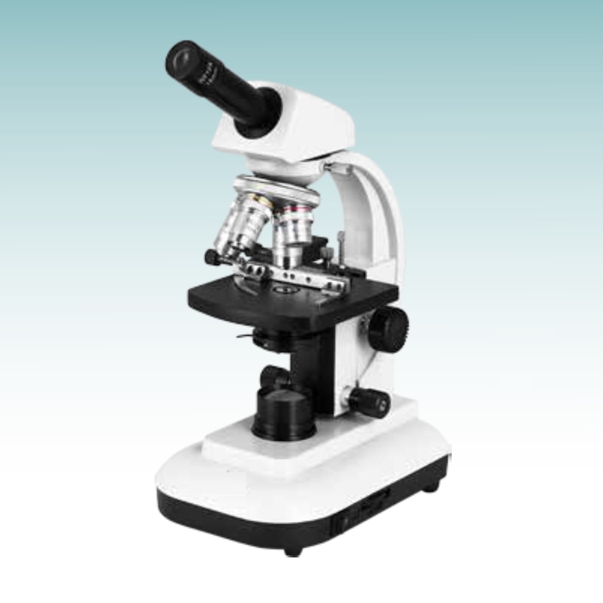 Hot Sale Biological Microscope (MT28107303) 
