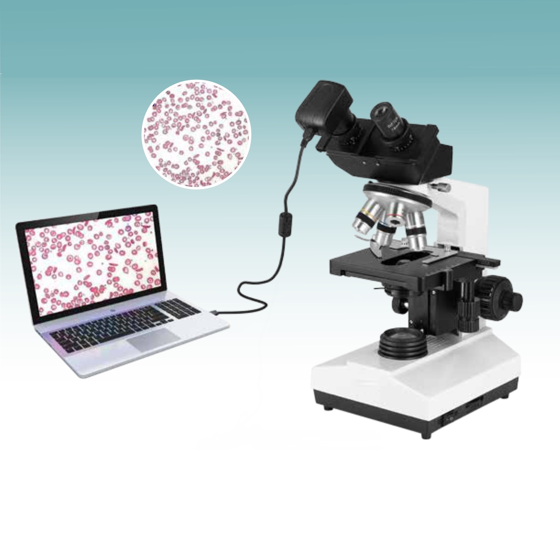 Hot Sale Digital Biological Microscope (MT28171013) 