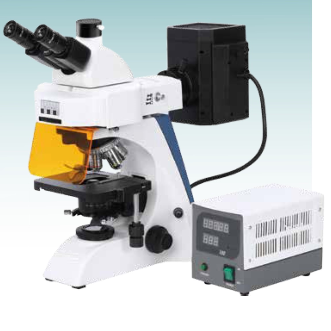 Hot Sale Fluorescence Biological Microscope (MT28161003) 