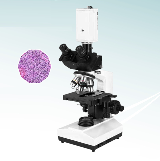 Hot Sale Digital Biological Microscope (MT28171012) 