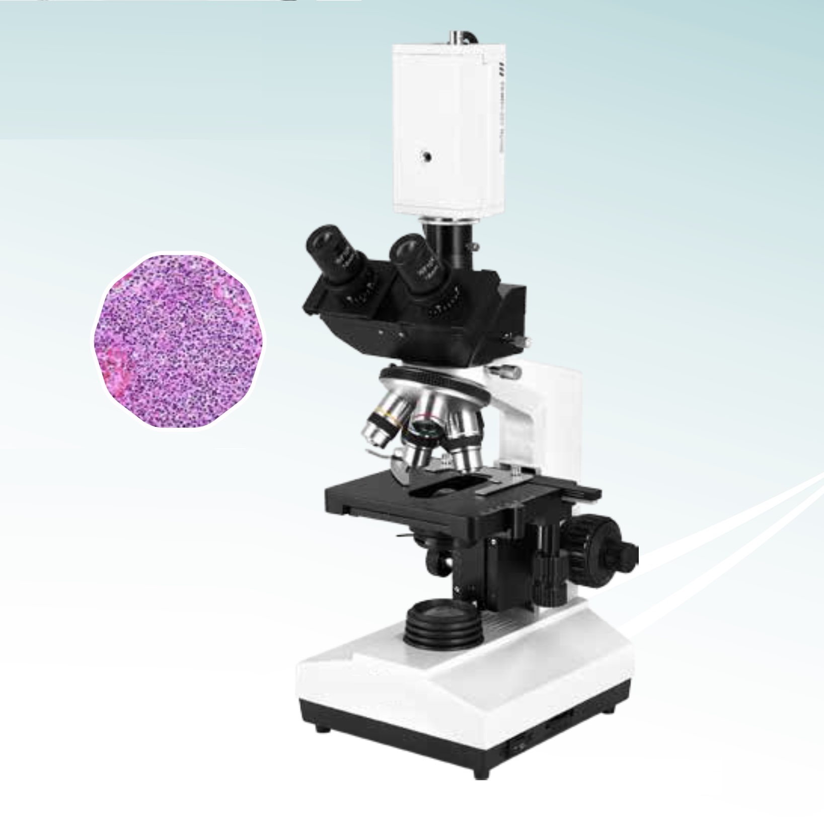 Hot Sale Digital Biological Microscope (MT28171012) 
