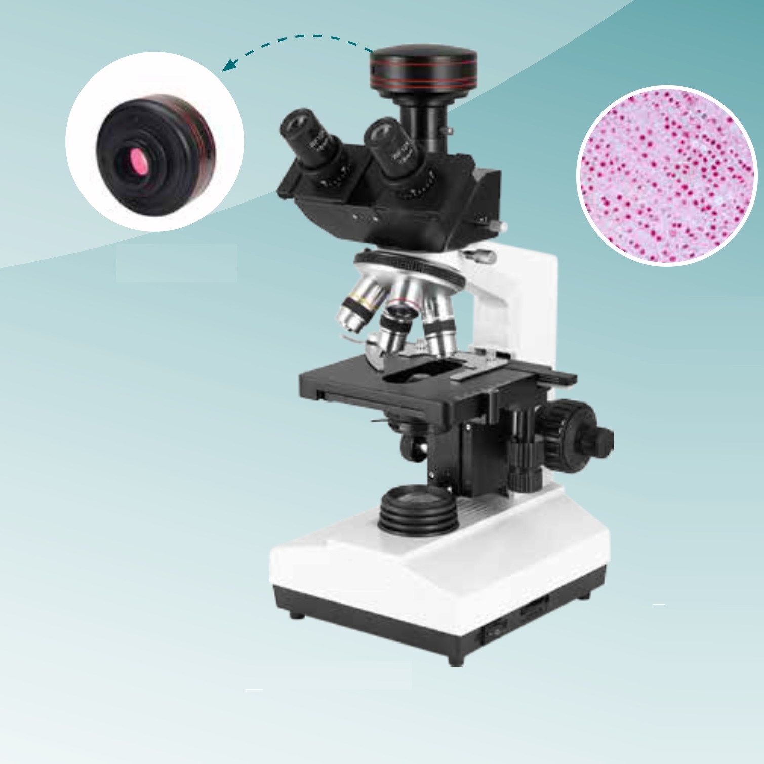 Hot Sale Digital Biological Microscope (MT28171011) 
