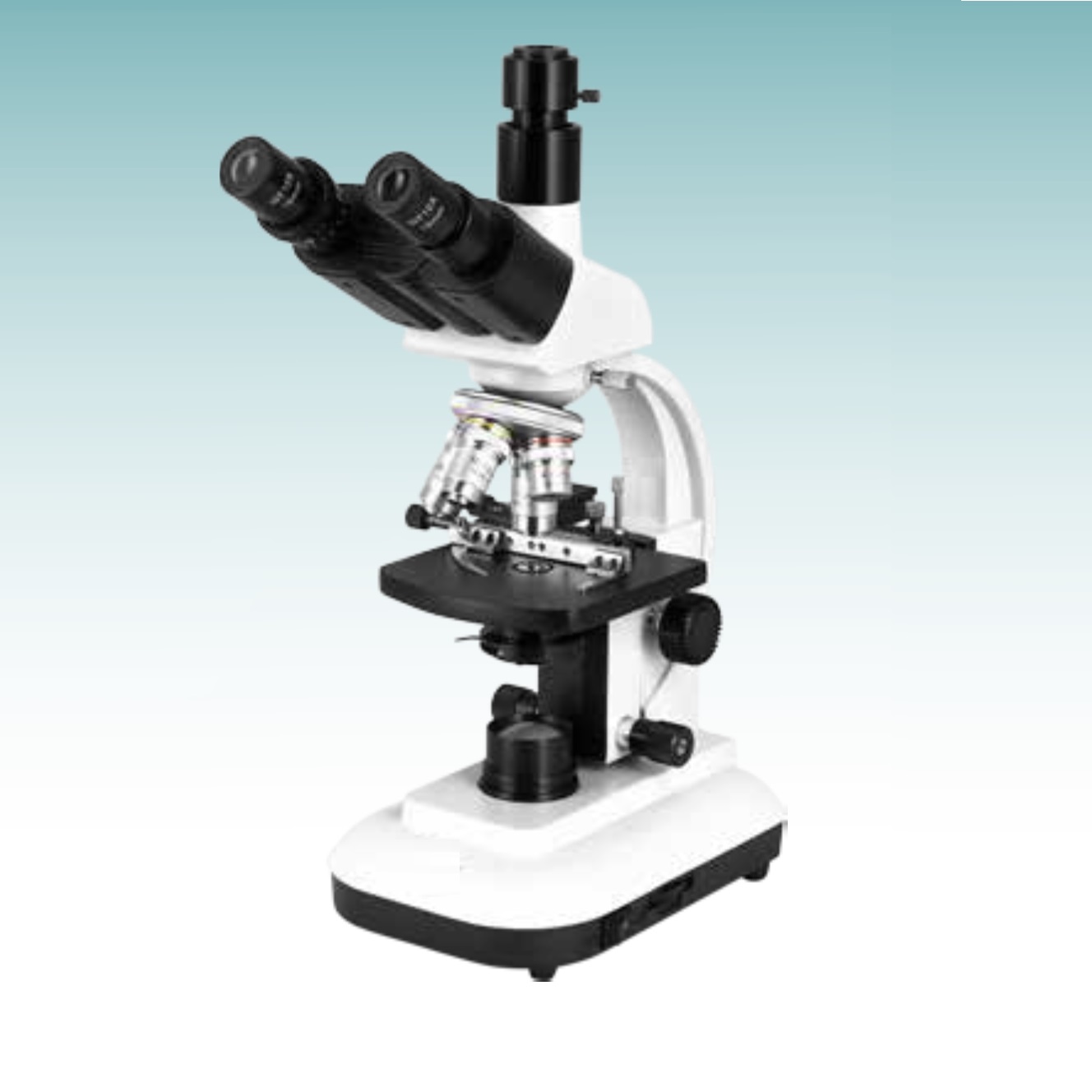 Hot Sale Biological Microscope (MT28107302) 