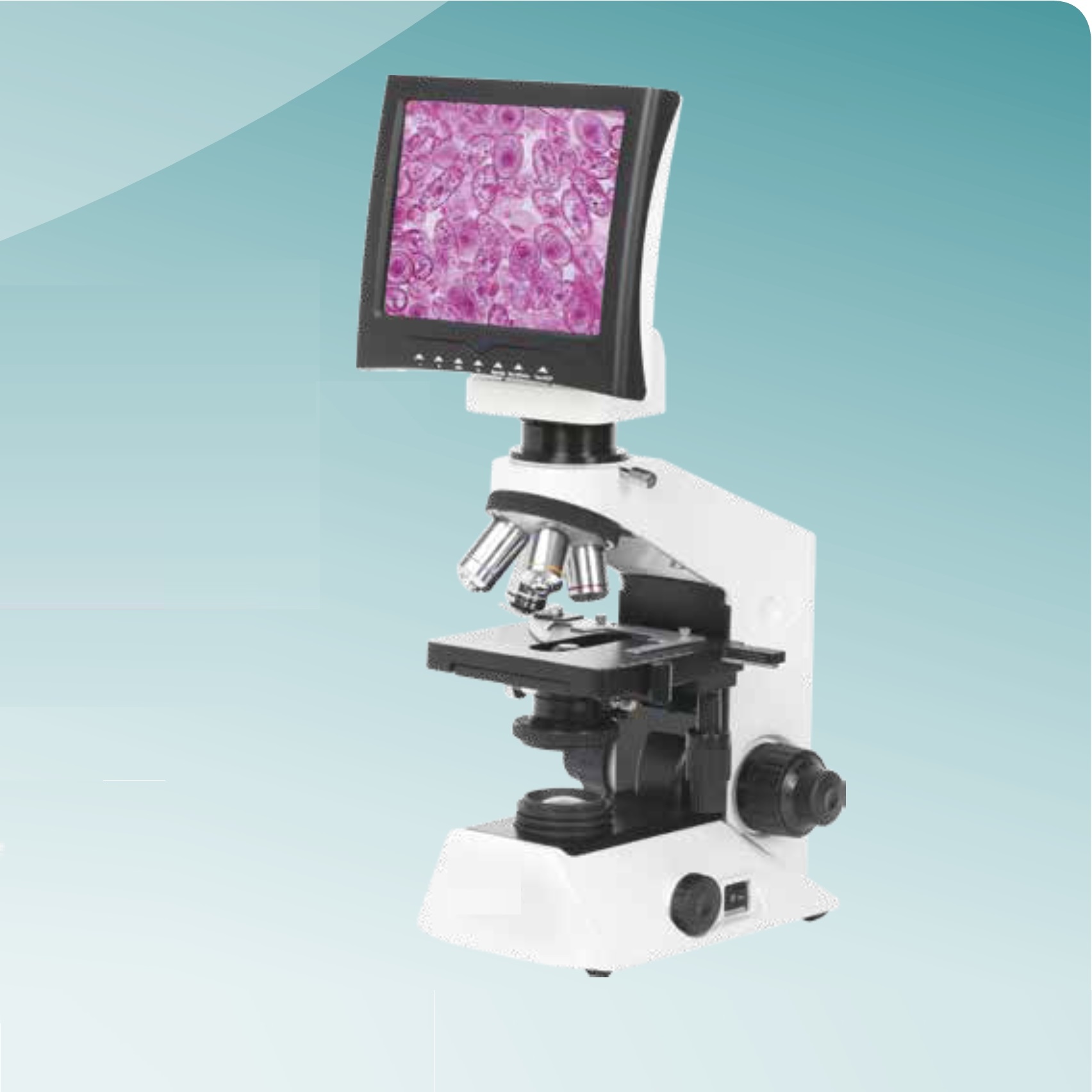 Hot Sale Digital Biological Microscope (MT28171001) 