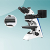 Hot Sale Metallurgical Microscope (MT28151001) 