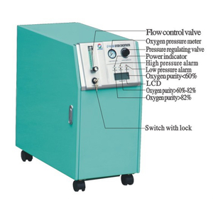Hot Sale Medical Health Care Mobile Electric 10L Oxygen Concentrator (MT05101070)