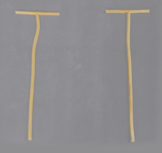 CE/ISO Approved Disposable Medical T-Tube (MT58022001)