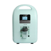 Hot Sale Medical Health Care 2L Oxygen Concentrator (MT05101181) 