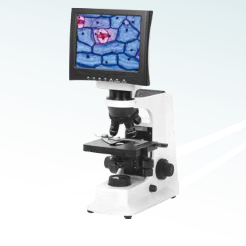 Hot Sale Digital Biological Microscope (MT28171003) 