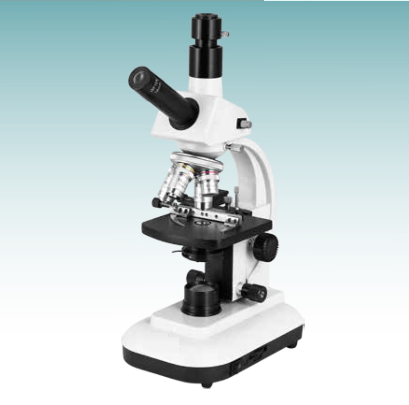 Hot Sale Biological Microscope (MT28107304) 